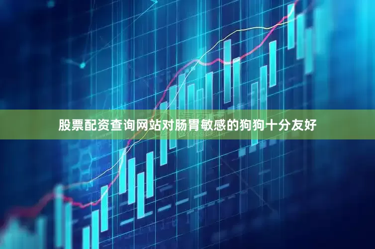 股票配资查询网站对肠胃敏感的狗狗十分友好