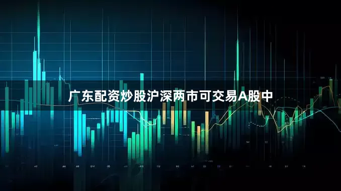 广东配资炒股沪深两市可交易A股中