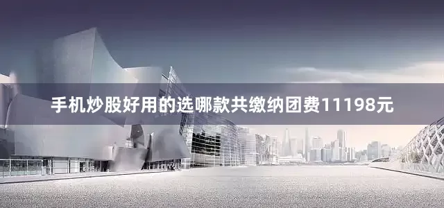 手机炒股好用的选哪款共缴纳团费11198元