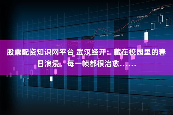 股票配资知识网平台 武汉经开:藏在校园里的春日浪漫,每一帧都很治愈……